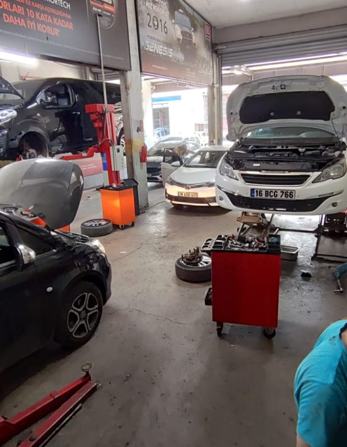 Motul Serteller Oto Bakım Servisi